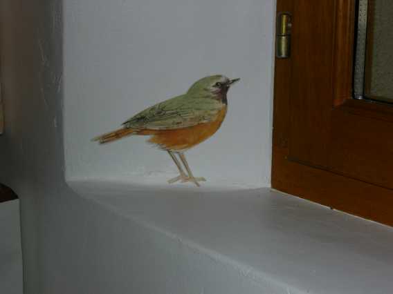 dscn0494.jpg