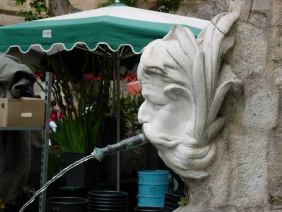 dscn0505.jpg