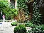 dscn0516.jpg