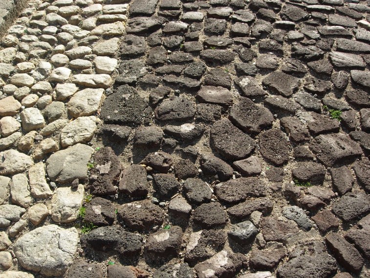 dscn0670.jpg