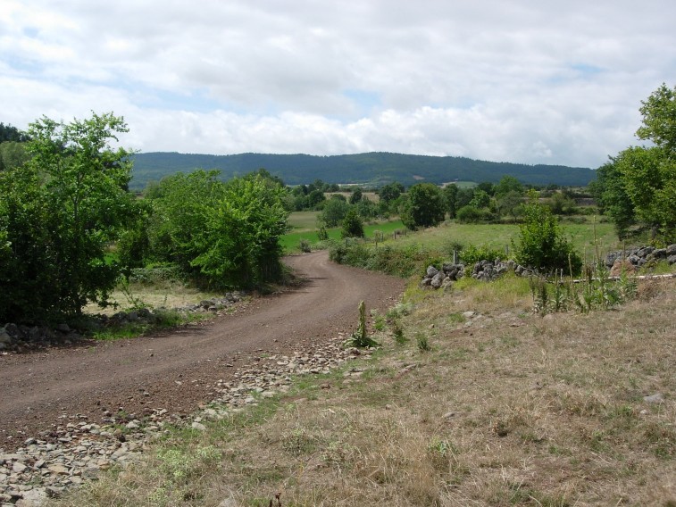 dscn0693.jpg