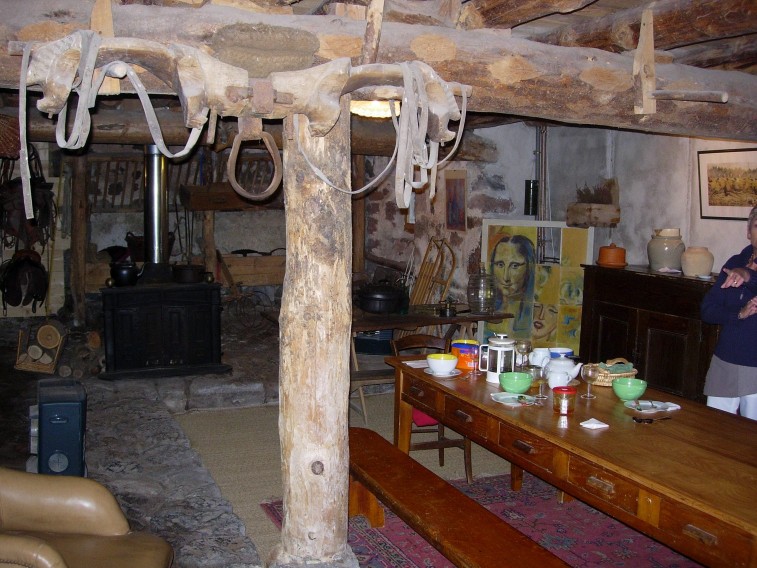 dscn0704.jpg