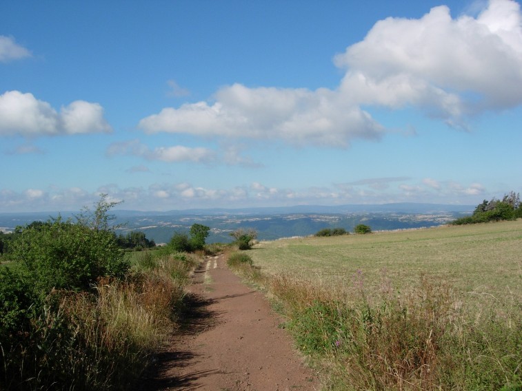dscn0710.jpg
