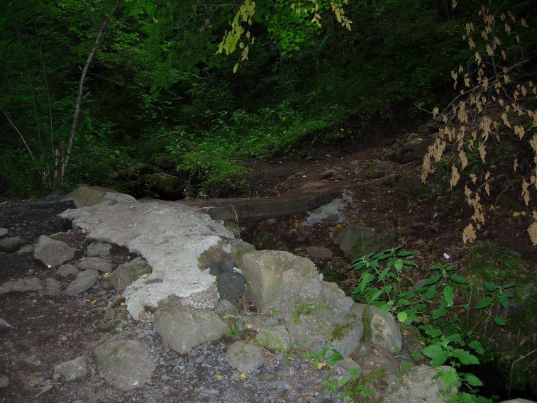 dscn0712.jpg