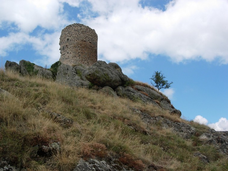 dscn0725.jpg