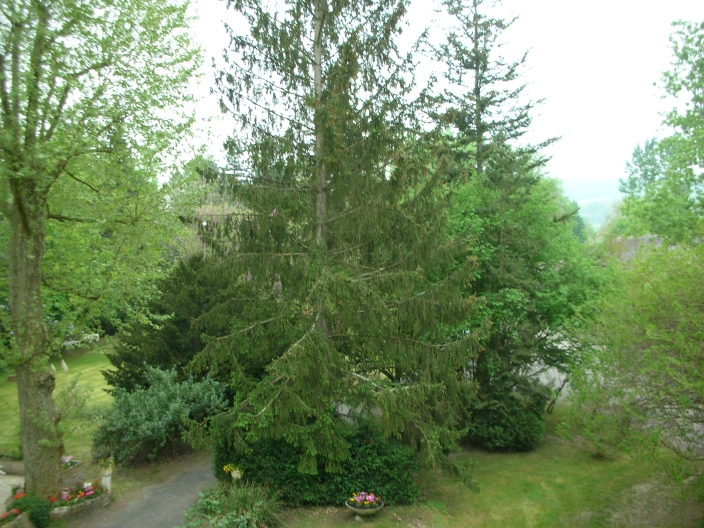 3c42_dscn0966.jpg