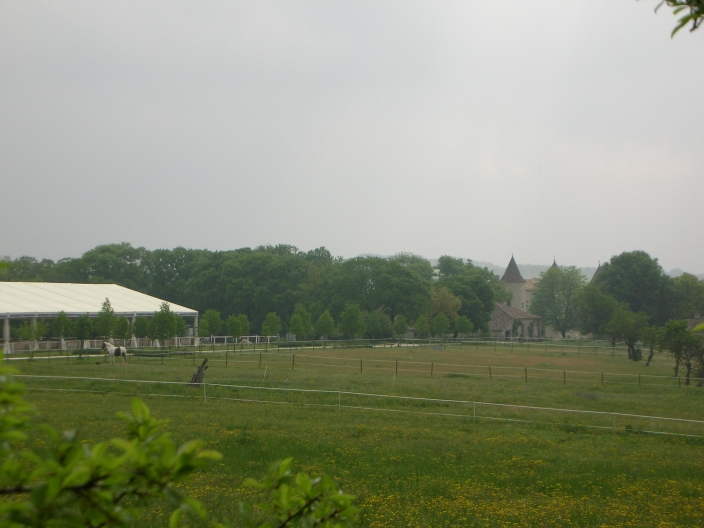3d04_dscn0971.jpg