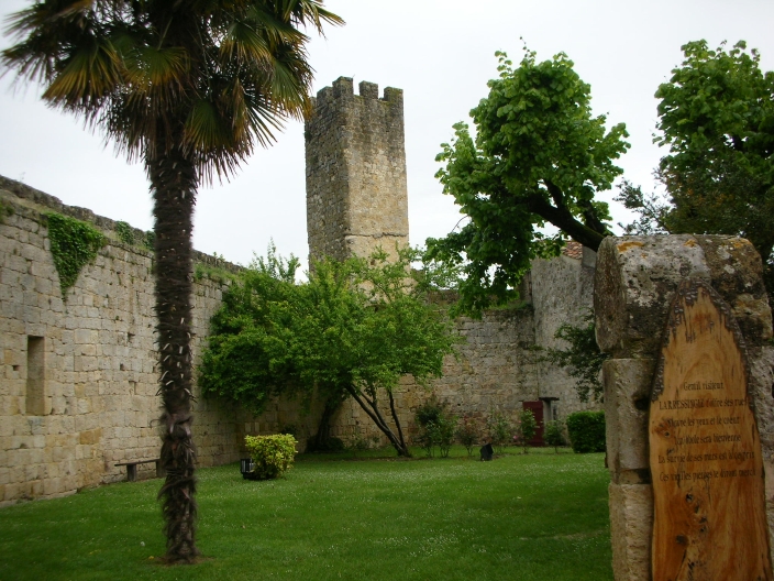 3k17_dscn1220.jpg