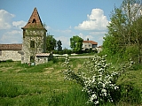 3b13_dscn0921.jpg