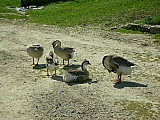 3c07_dscn0936.jpg