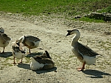 3c08_dscn0937.jpg