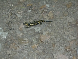 3d07_dscn0976.jpg