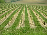3d10_dscn0979.jpg