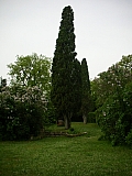 3d24_dscn0999.jpg