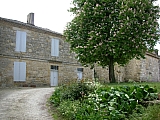 3g31_dscn1104.jpg