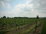 3h17_dscn1142.jpg