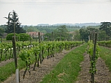 3h18_dscn1143.jpg