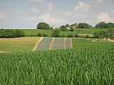 3i07_dscn1169.jpg