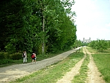 3i09_dscn1171.jpg