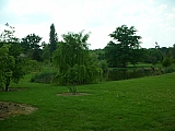 3i10_dscn1172.jpg