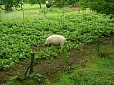 3k07_dscn1211.jpg