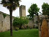 3k17_dscn1220.jpg