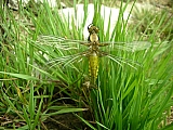 3k30_dscn1232.jpg