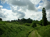 3l11_dscn1270.jpg