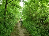 3m01_dscn1287.jpg