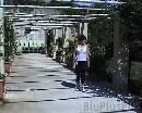 Hotel0025 * 720 x 576 * (158KB)