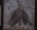 Musee0027 * 720 x 576 * (111KB)