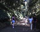 Parc0001 * 720 x 576 * (151KB)