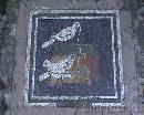 Pompei0109 * 720 x 576 * (135KB)