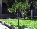 St_Chiara0008 * 720 x 576 * (156KB)