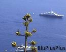 Capri0018 * 720 x 576 * (98KB)