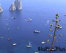 Capri0019 * 720 x 576 * (86KB)