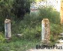 Capri0028 * 720 x 576 * (132KB)