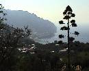 Capri0032 * 720 x 576 * (99KB)