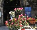Ravello0002 * 720 x 576 * (137KB)