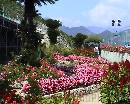 Ravello0017 * 720 x 576 * (176KB)