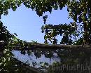 En_ville0002 * 720 x 576 * (144KB)