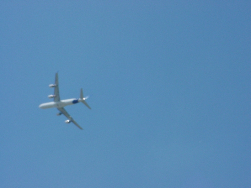 dsc00017.jpg
