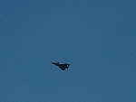 dsc00009.jpg
