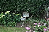 img_1263.jpg