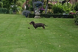 img_1264.jpg